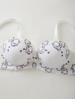 Wide Strap Plus Size Bra Lace & Embroidery Push up - Image 5