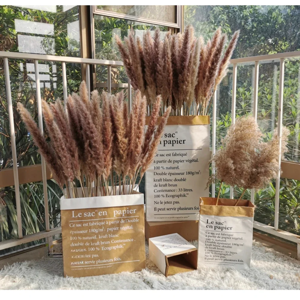 Dried Reed Flower Arrangement,Natural Pampas Grass, Phragmites Communis Plants Bouquet for Modern Home Decoration, 5 Pcs, 10Pcs