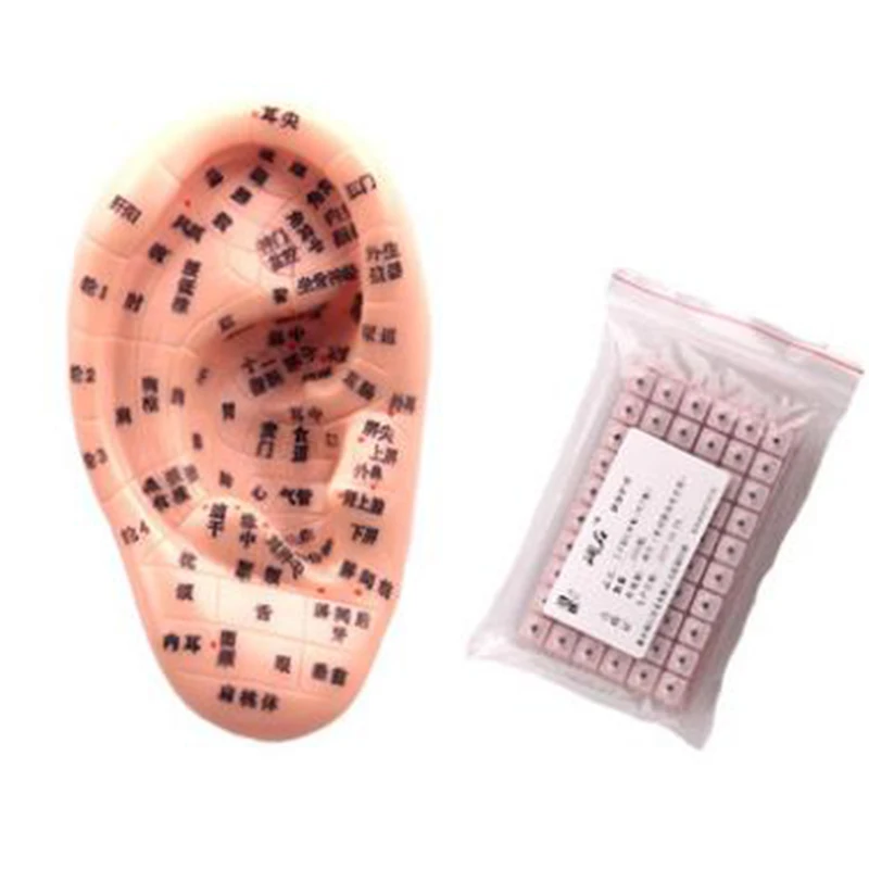 points massage high-definition ear model without seed auricular application body elastic ground point pen needle