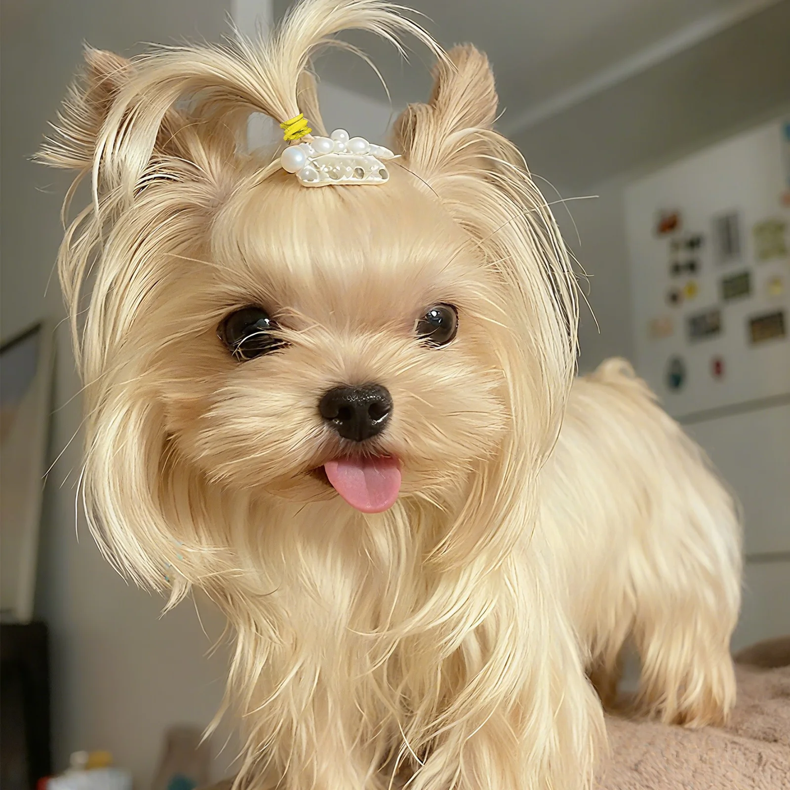 

170Pcs Dog Hair Accessories Elastic Rubber Bands Mixed Colors Pet Hair Grooming Bands Pet Rubber Band Dog Grooming Bows