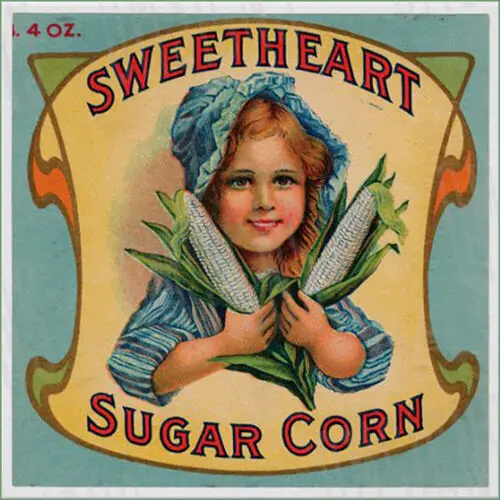 Sweetheart Corn Fruit Label Metal Sign FREE SHIPPING Vintage Kitchen Decor