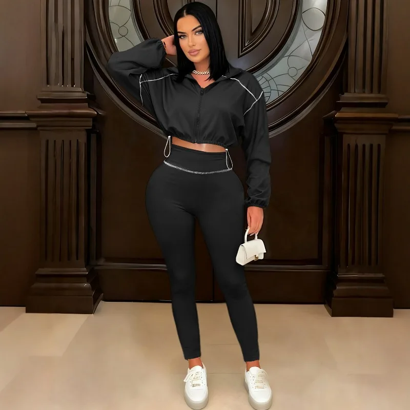 Two Piece Set Women Sexy Club Long Sleeve Paneled Stylish Casual Sport Suit Solid Color Zipper Tracksuits Sweat Suit
