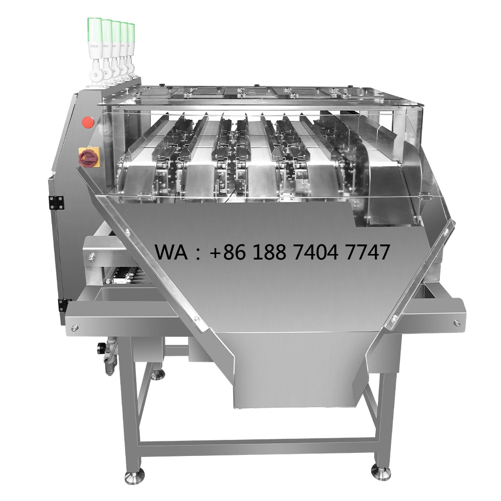 5-Lane Multi-function Checkweigher for Toy Production Lines