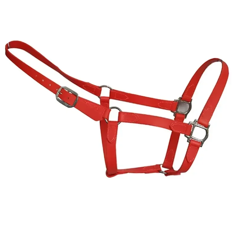 Rainbow Cold Resistant Horse Halter Synthetic Leather and Nylon Blend Stylish Design for Winter Riding and Events