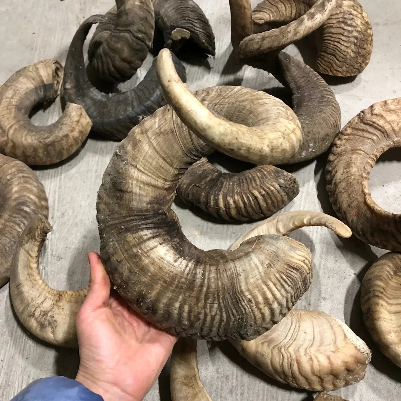Old Cotton Sheep Corner Raw Materials, Scraping Board, Comb, Horn Beads, Raw Materials, Decorative Crafts