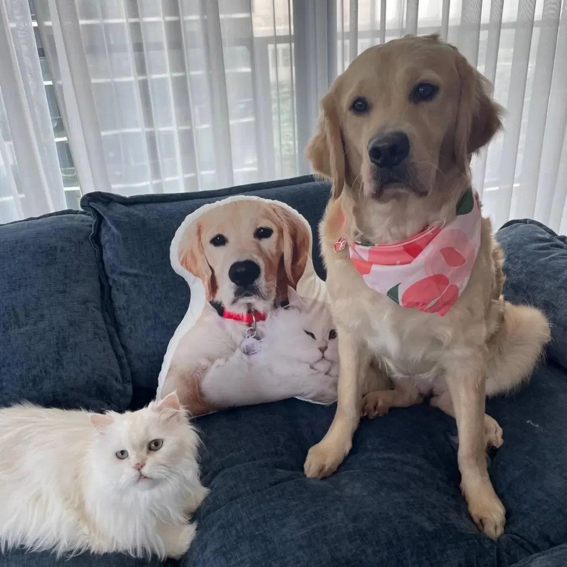 

Новая индивидуальная фотоподушка с реалистичными формами кошек и собак, индивидуальный плюшевый подарок для друзей, оливково-коричневое полиэфирное волокно.