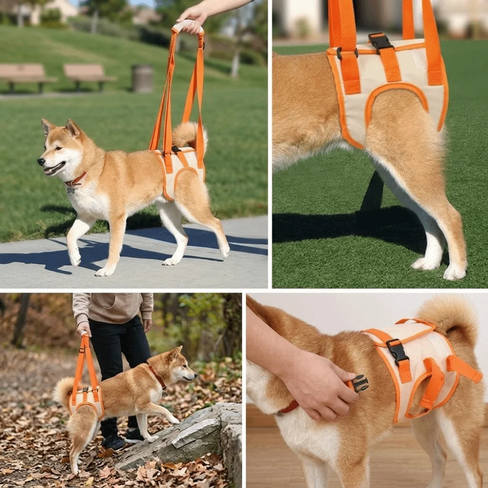 Adjustable Straps Dog Lift Harness Lightweight Build Breathable Mesh Dog Support Strap Padded Handle Adjustable Buckles