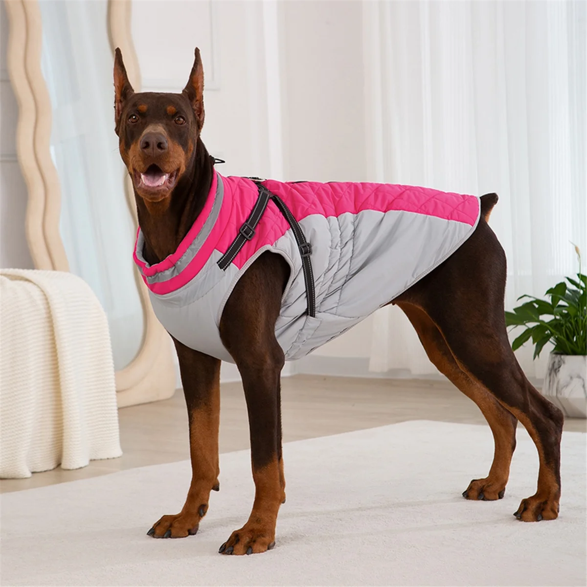【Exclusive-Deal!】Waterproof Pet Jacket