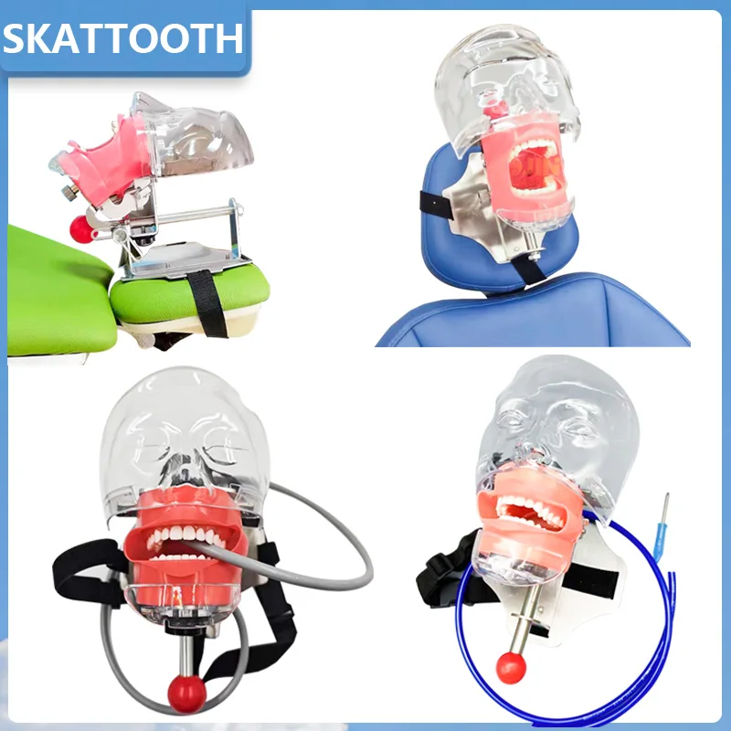 Dental Bandage Style Phantom Head  Model Dentist Teaching and Training Model Repair Pathological Impacted Tooth Model