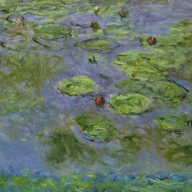 

EMAX Tinyhawk III Spare Parts Pack A - Frame For FPV Racing Drone RC Airplane Quadcopter