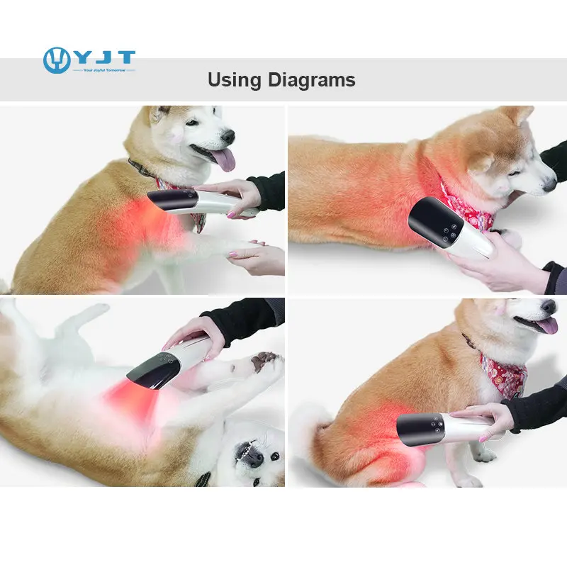 Infrared Light Therapy Pain Relief Veterinary 660nm 850nm Horse Knee Muscle Joint Hook Vet Laser Red Light Therapy Device