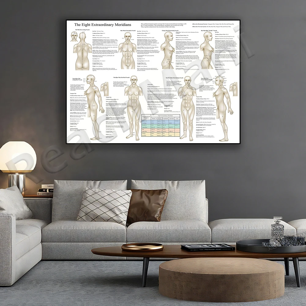 Eight meridians, meridian posters, anatomical diagrams, medical art, human body meridian art prints decorative printing posters