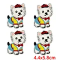PE17767CT