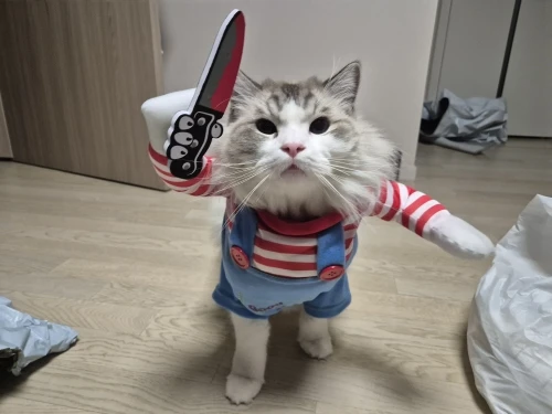 리뷰 사진