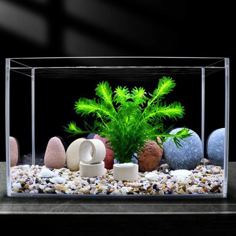 Aquatic Plants Fixed Ring Fish Tank Plants Fix Basket Water Grass Fixed Cup Aquarium Accessories Aquarium Landscape Decoration