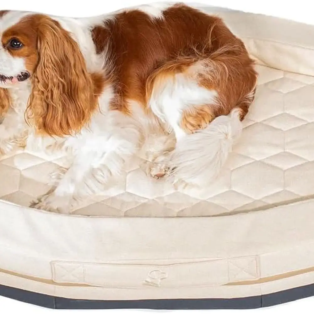 

Кровать для собак Homestead — ортопедическая кровать для домашних животных из пены с эффектом памяти и моющимся чехлом, прочное нескользящее основание, с мягкими сторонами для собак, комфорт