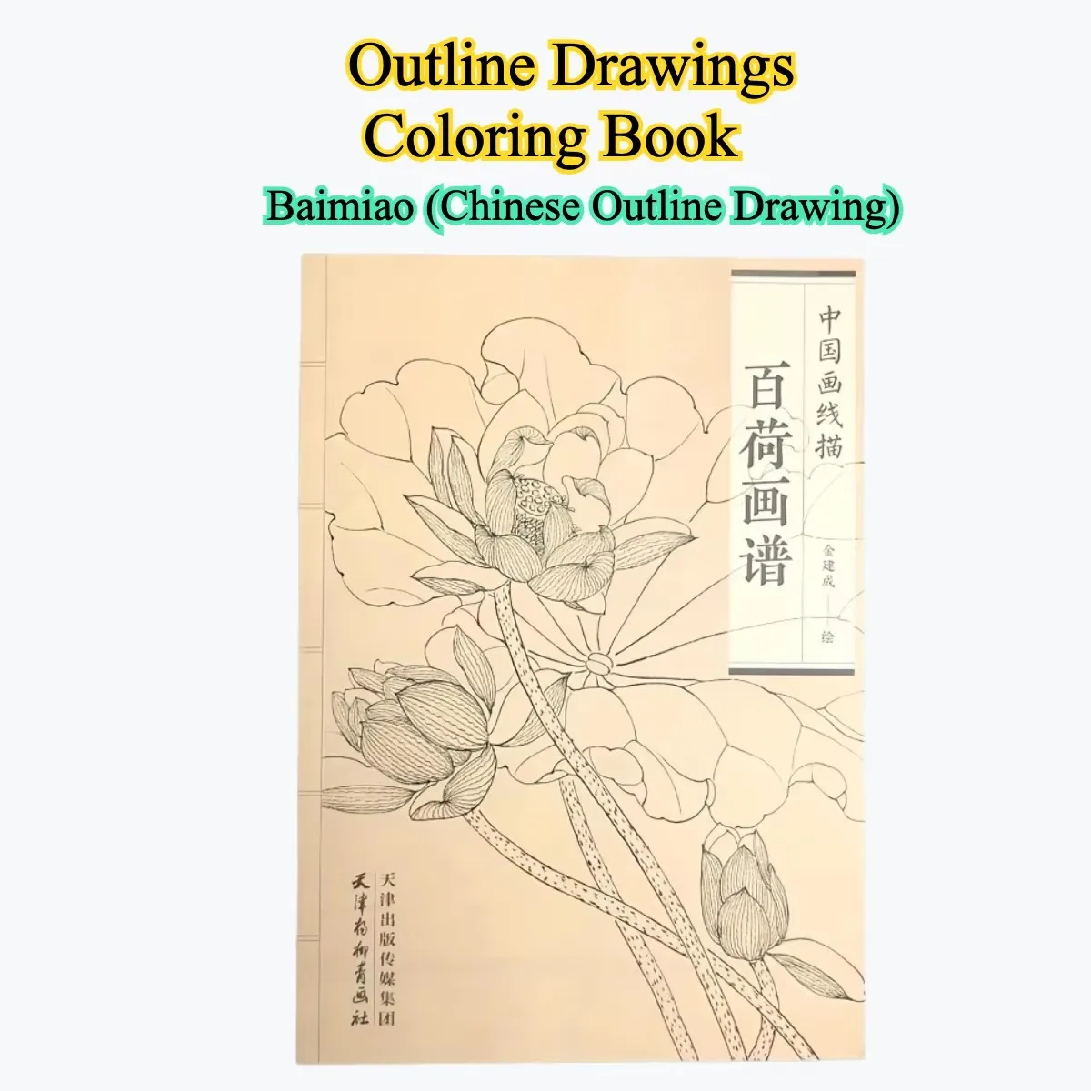 

Baihe Painting Manual Coloring Book Easy and Simple Designs for Relaxation Chinese Line Drawing Book
