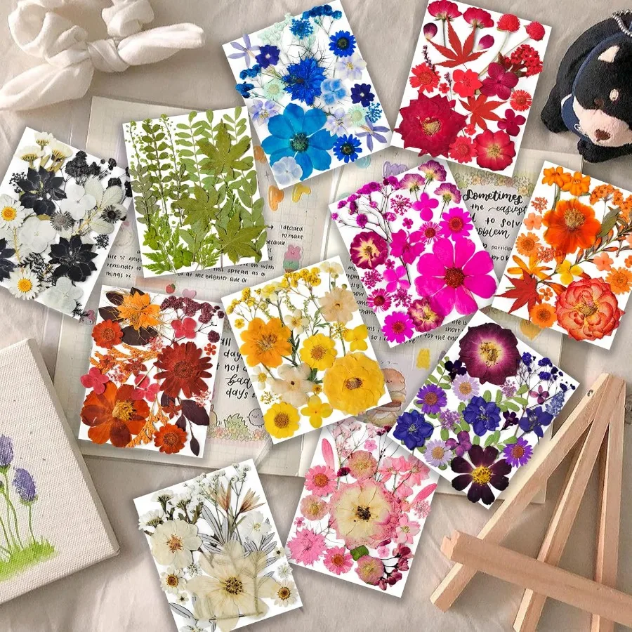 레진 공예용 건조 압화 320개 대량, 진짜 천연 압화와 두 장의 나비 스티커 포함, 이상적인 선택