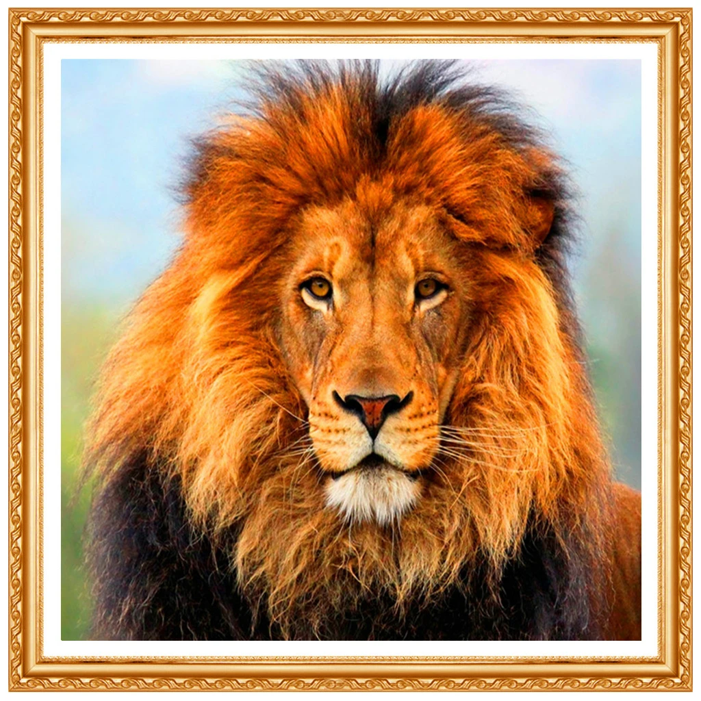 5D Diy diamond painting cross stitch s Full 100% cover embroidery animal lion diamond embroidery home decor