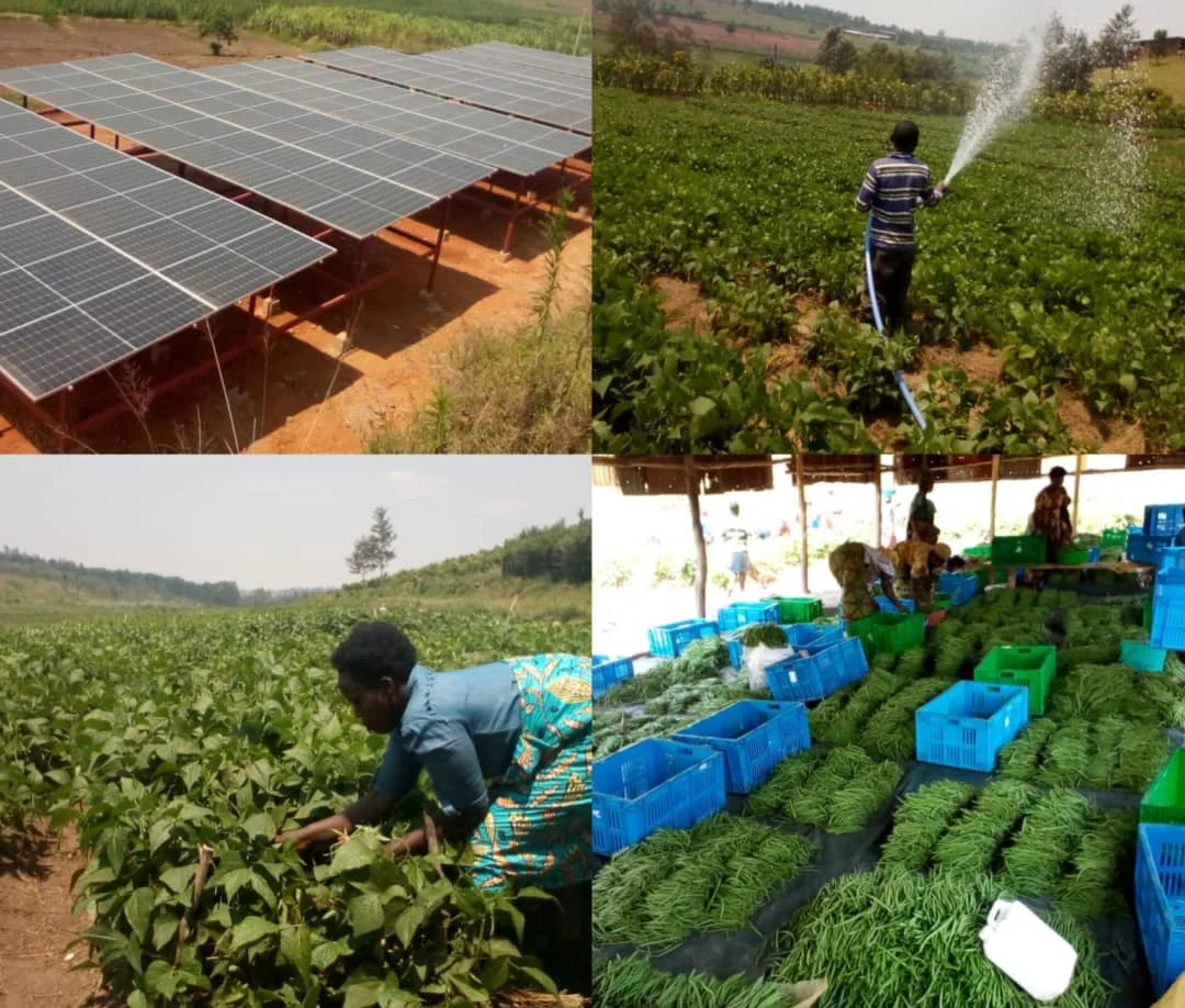 2HP BLDC AC Solar Water Pump Price Agriculture 2 Horsepower Drip Irrigation Sprinkler Pressure Submersible Well Pumping System
