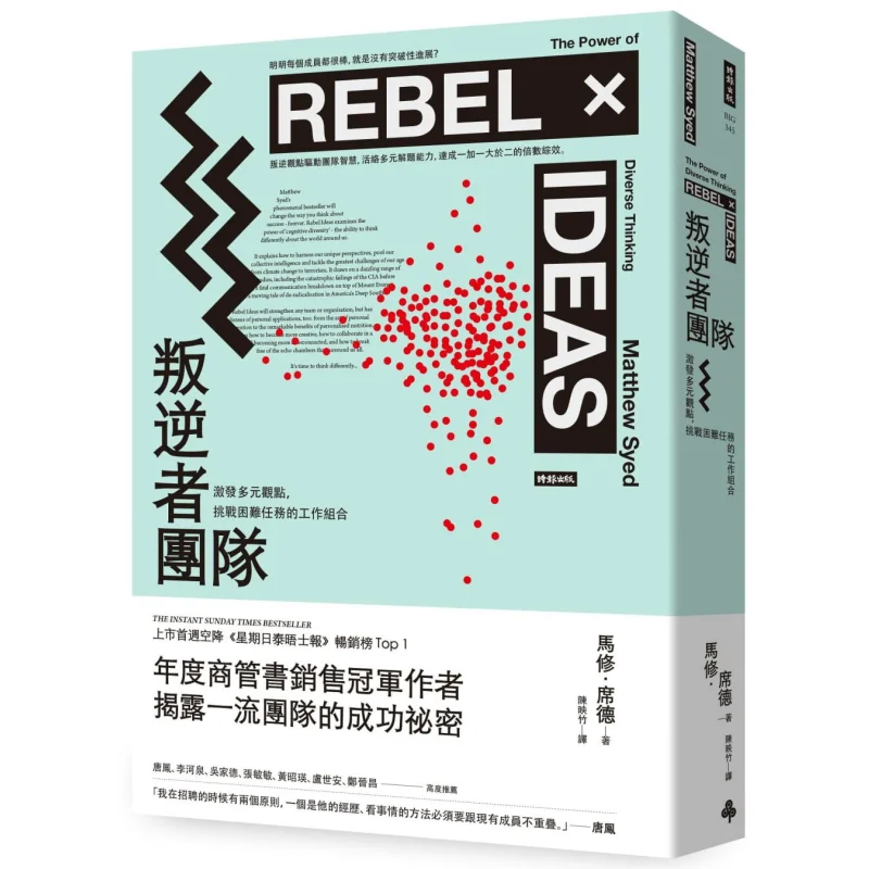 Rebel Team A Combination Of Work That Inspires Diverse Perspectives And Challenges Difficult Tasks Matthew Sid 9789571384740