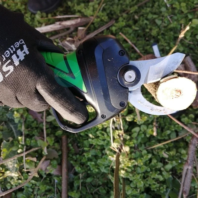 

Professional electric garden pruner