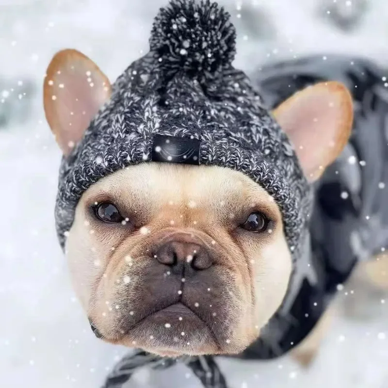 Warm Knitted Dog Hat, Cozy Pet Headgear for Cold Weather, Pug and French Bulldog, Winter