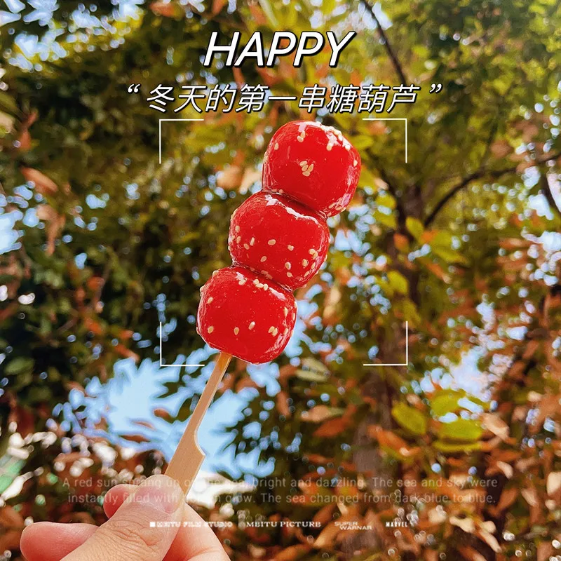 15 سنتيمتر محاكاة الجليد السكر القرع سلسلة بولي كلوريد الفينيل الاصطناعي الزعرور سلسلة وهمية الفاكهة نموذج التصوير الدعائم الحلي ديكور الحفلات #4