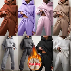 Long Two-piece Suit Fleecing Hooded Sweatshirt Loose Top Set Solid  Casual Sporty Winter Women Sweatpant Streetwear Clothes Pink