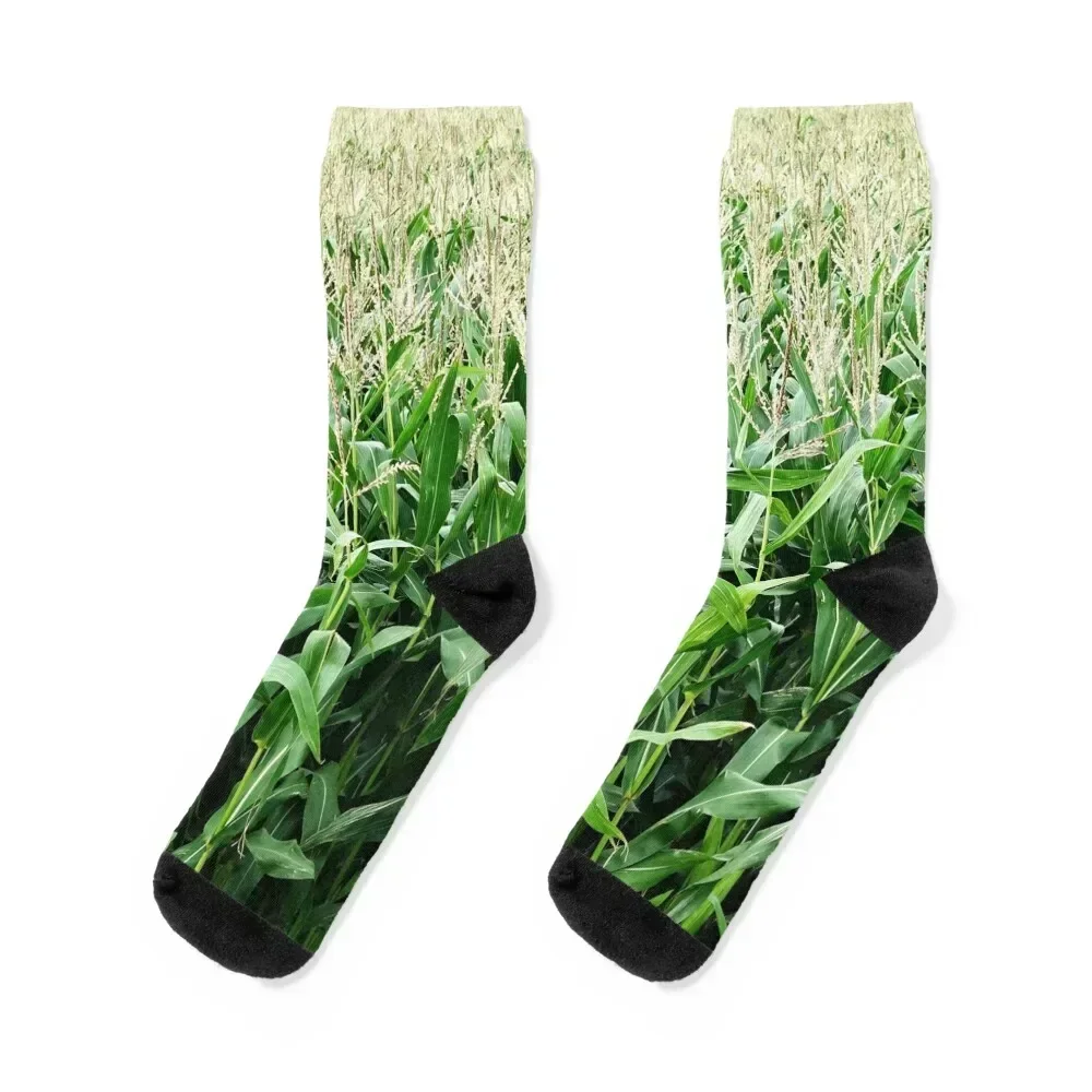 

Corn Field Socks snow FASHION designer set Men's Socks Luxury Women's