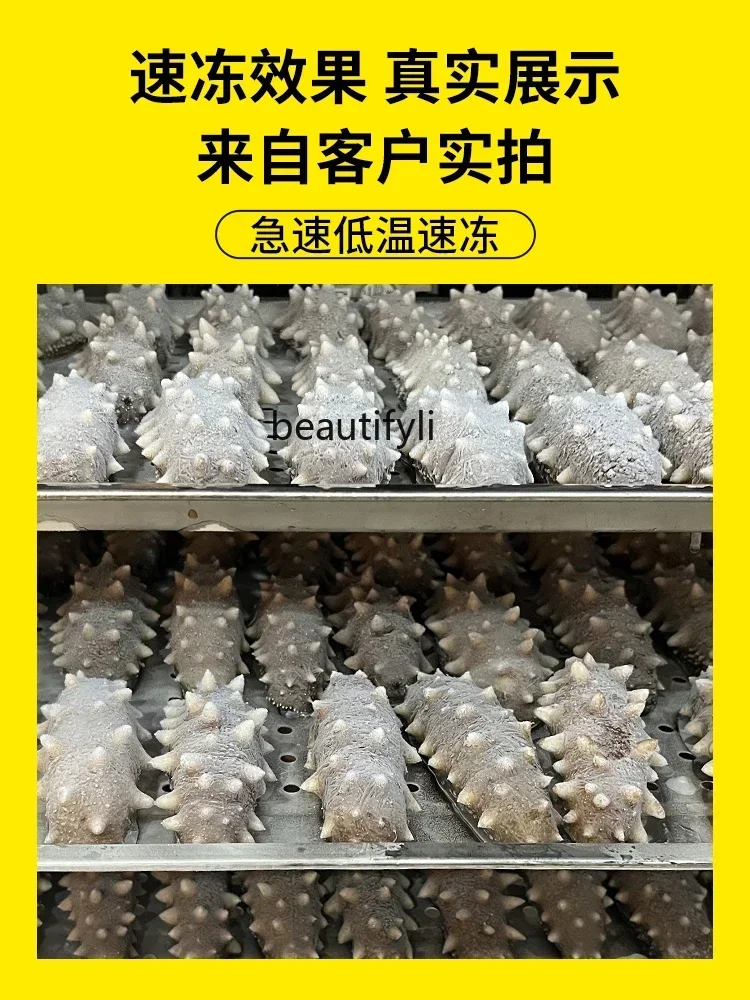 Asmt42 Quick-Frozen Commercial Quick-Frozen Embryo Seafood Strip Air-Cooled Freezer 7 Plates