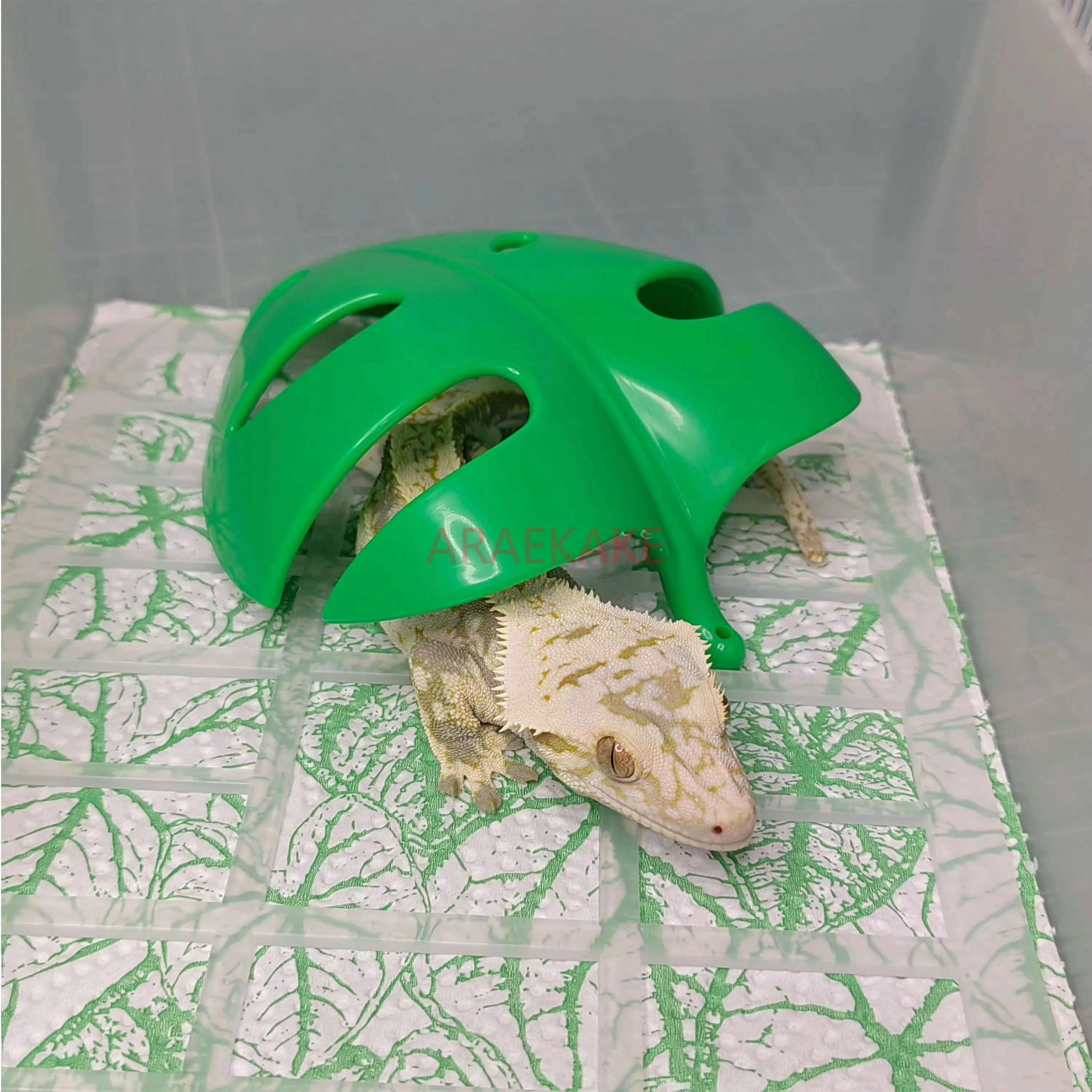 Tropical Plant Shap… - image