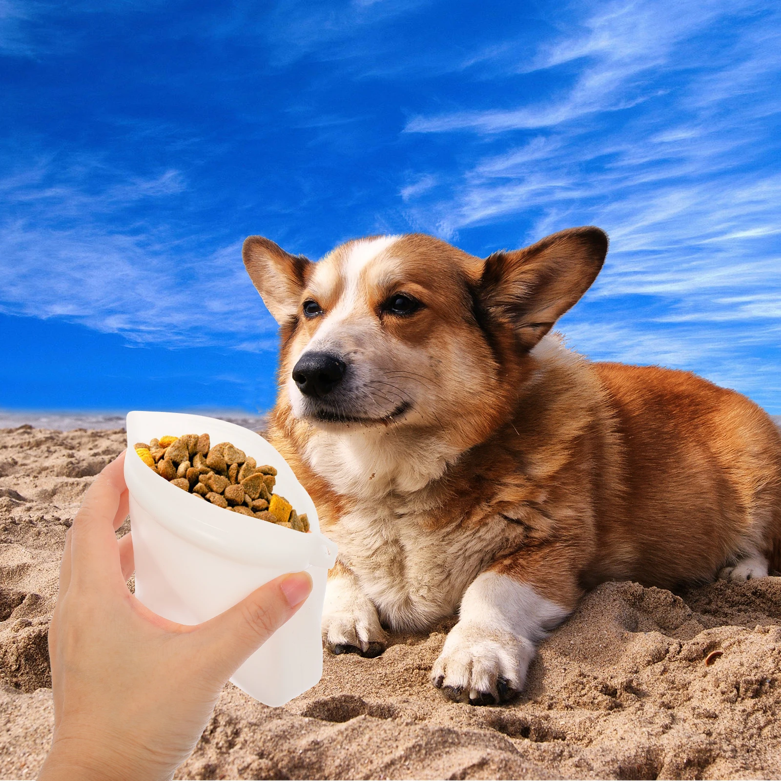 

Dog Treat Pouch Large Capacity Silicone Material Self-Sealing Closure Side Hole Design For Pet Training Outdoor Walking