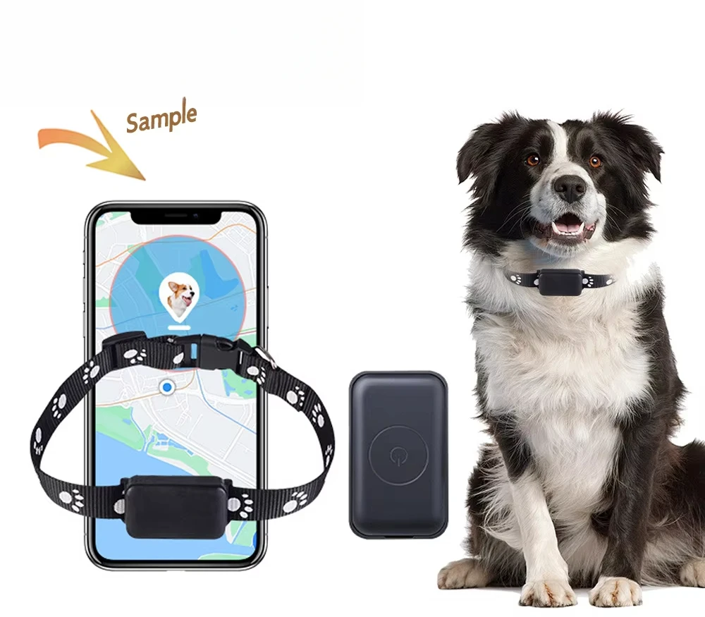 

Safe Real-Time Electric Pet Tracker 4G GPS Waterproof Unlimited Range