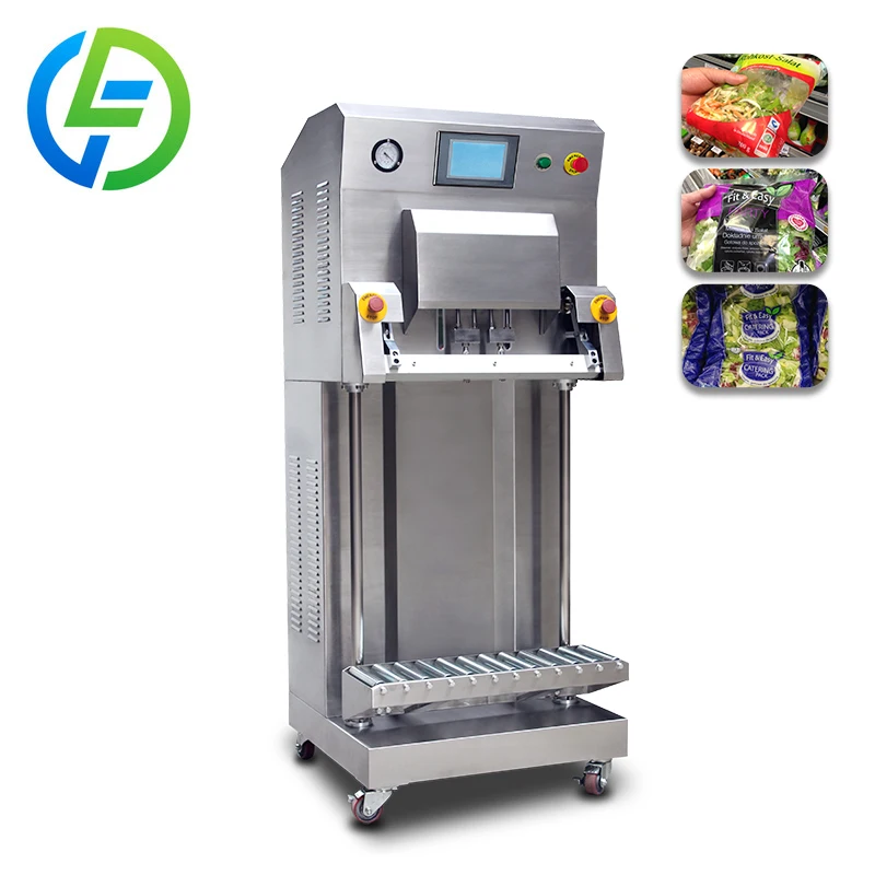 

Rice Grain Herbs Vertical External Type Food Vacuum Packaging Machine Larger Packing Bag Vacuum Sealer Packing Machine Chia Case