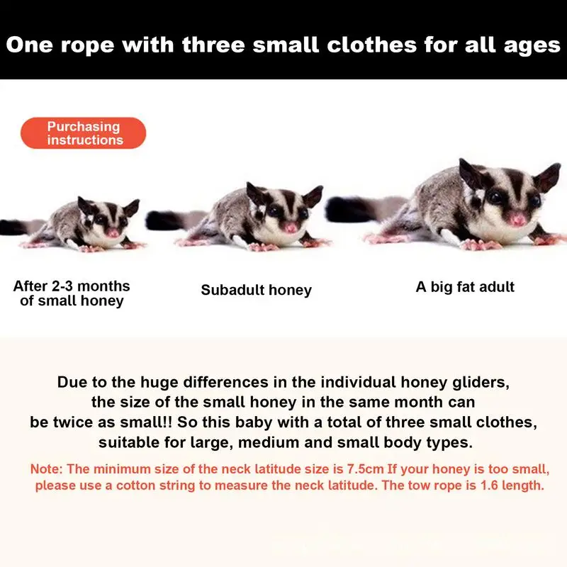 Sugar Glider Traction Rope Going Out Momonga Harness Sugar Glider Harness & Rope Set Small Animal Hamster Reptile Safety Collars