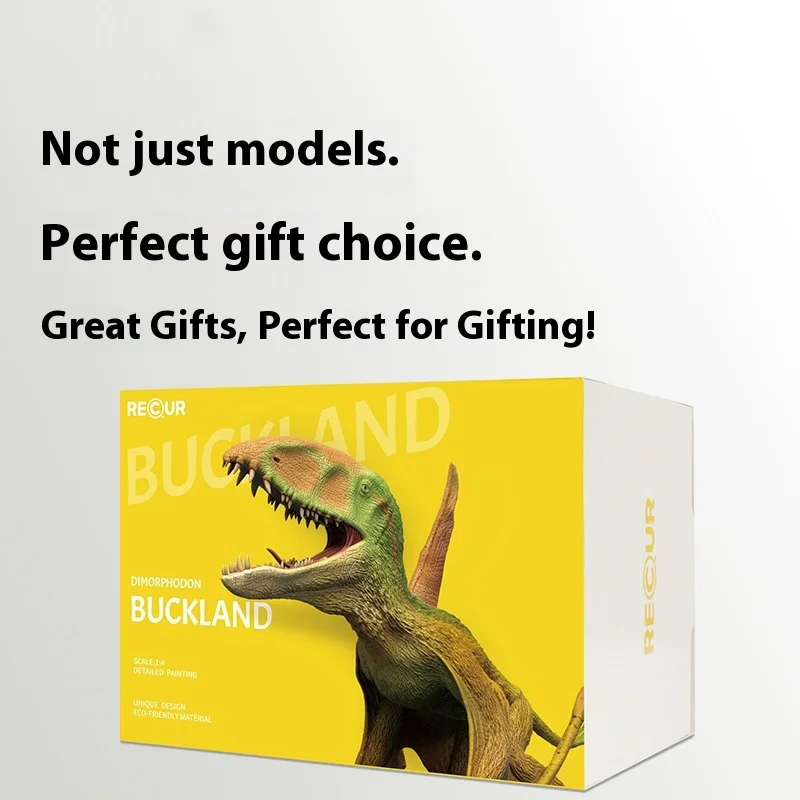 Figurka kolekcjonerska Dimorphodon Buckland 1:4, wersja naukowa i artystyczna, ozdoby, niespodzianka, prezent świąteczny dla przyjaciół.