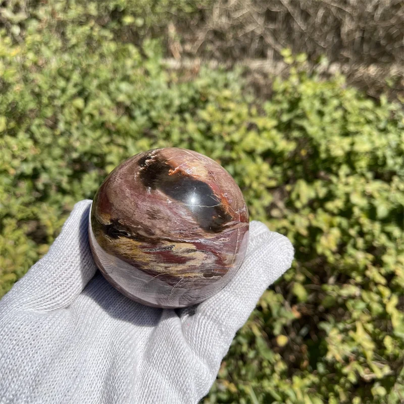 

8cm Natural petrified wood ball wooden stone ball
