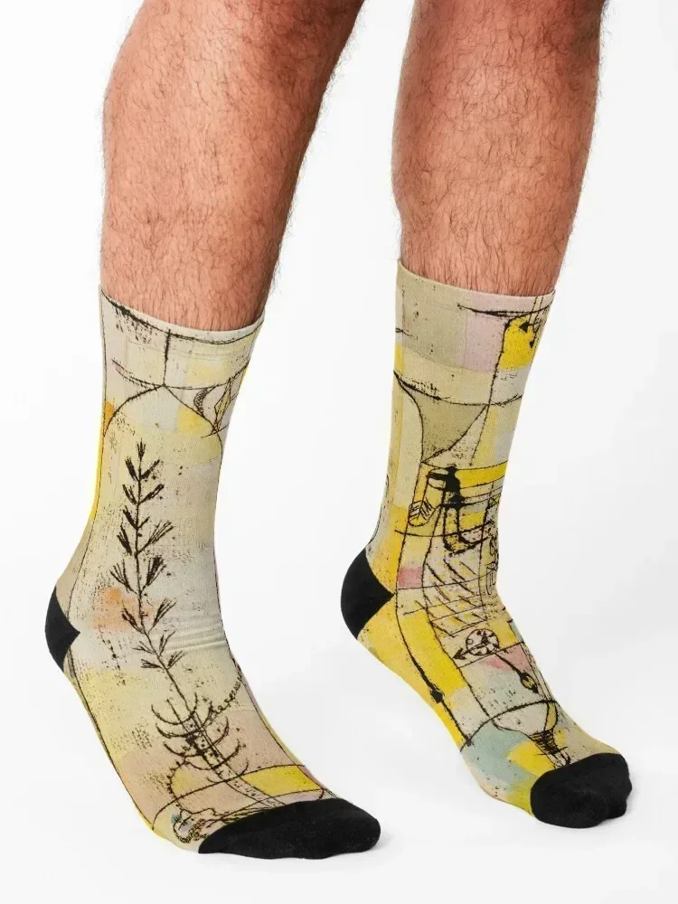 Tale à la Hoffmann, Paul Klee Socks funny gift Toe sports bright garter japanese fashion Ladies Socks Men's