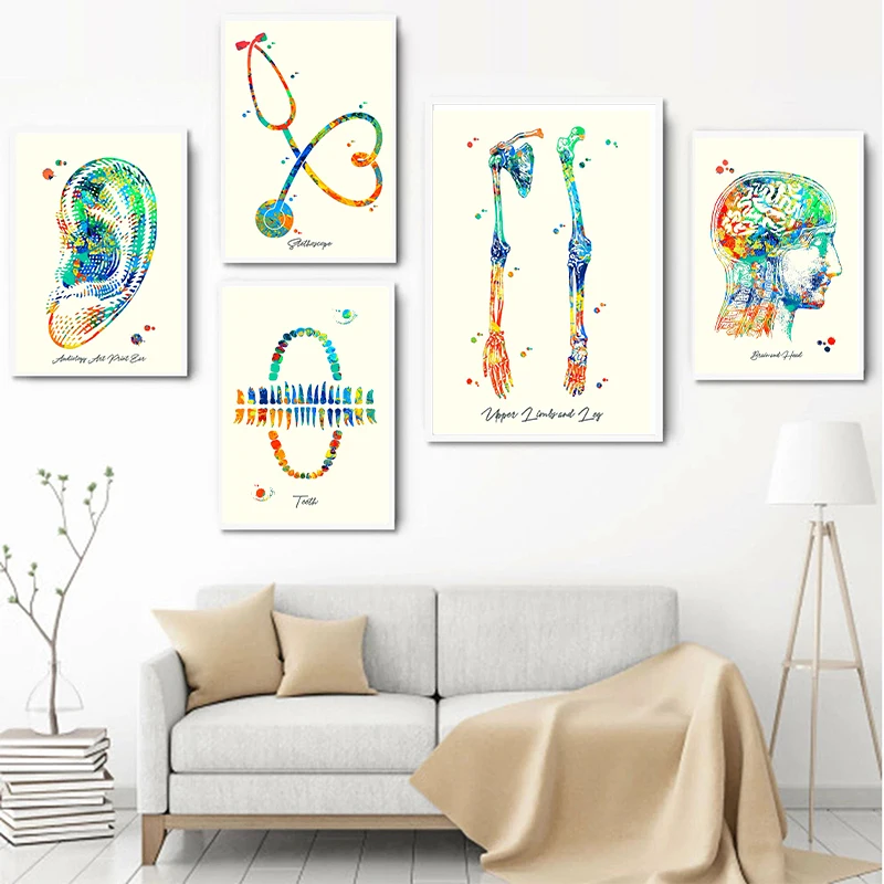 Modern Human Head and Torso Brain Stem Lungs Anatomy Canvas Art Prints Poster Science Painting Doctors Office Wall Art Decor