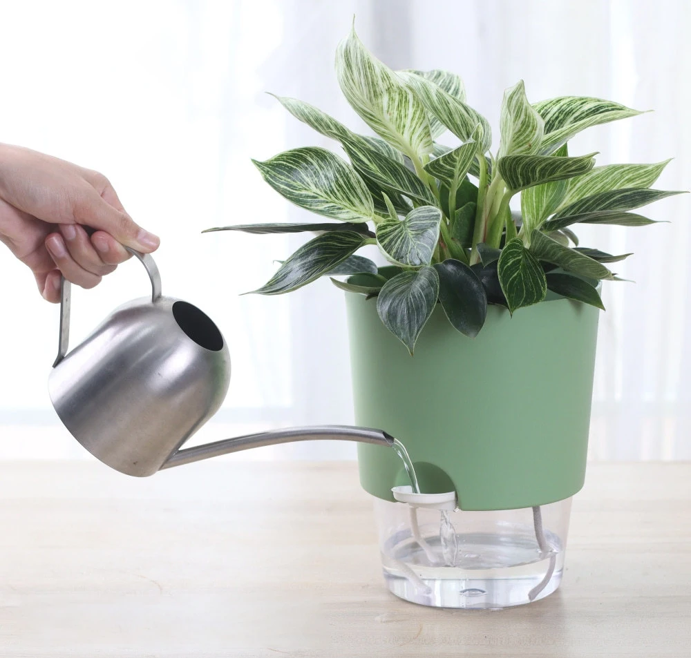 أصيص زهور بلاستيكي شفاف ذاتي الري ، أصيص نباتات الزراعة المائية ، مزارعي أصيص عصارية ، ديكور مكتبي منزلي #2