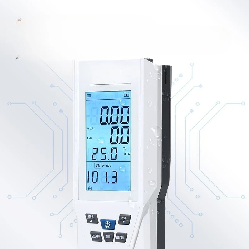 Misuratore di ossigeno disciolto portatile DO30-1 Misuratore di ossigeno disciolto con rilevamento del contenuto di ossigeno di qualità dell'acqua