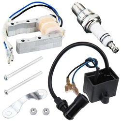 Engine CDI Ignition Coil Magneto Stator Coil Spark Plug Kit for 2 Stroke 49Cc 50Cc 60Cc 80Cc Motor Bike Bicycle