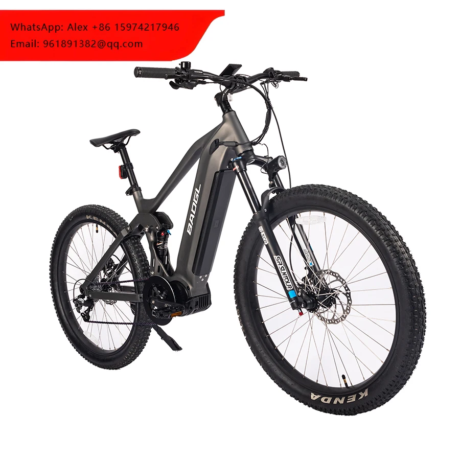 

1000w 48v 25Ah Dual Battery Fat Tire Hub Motor Electric Mountain Hybrid Bike City Bicycle