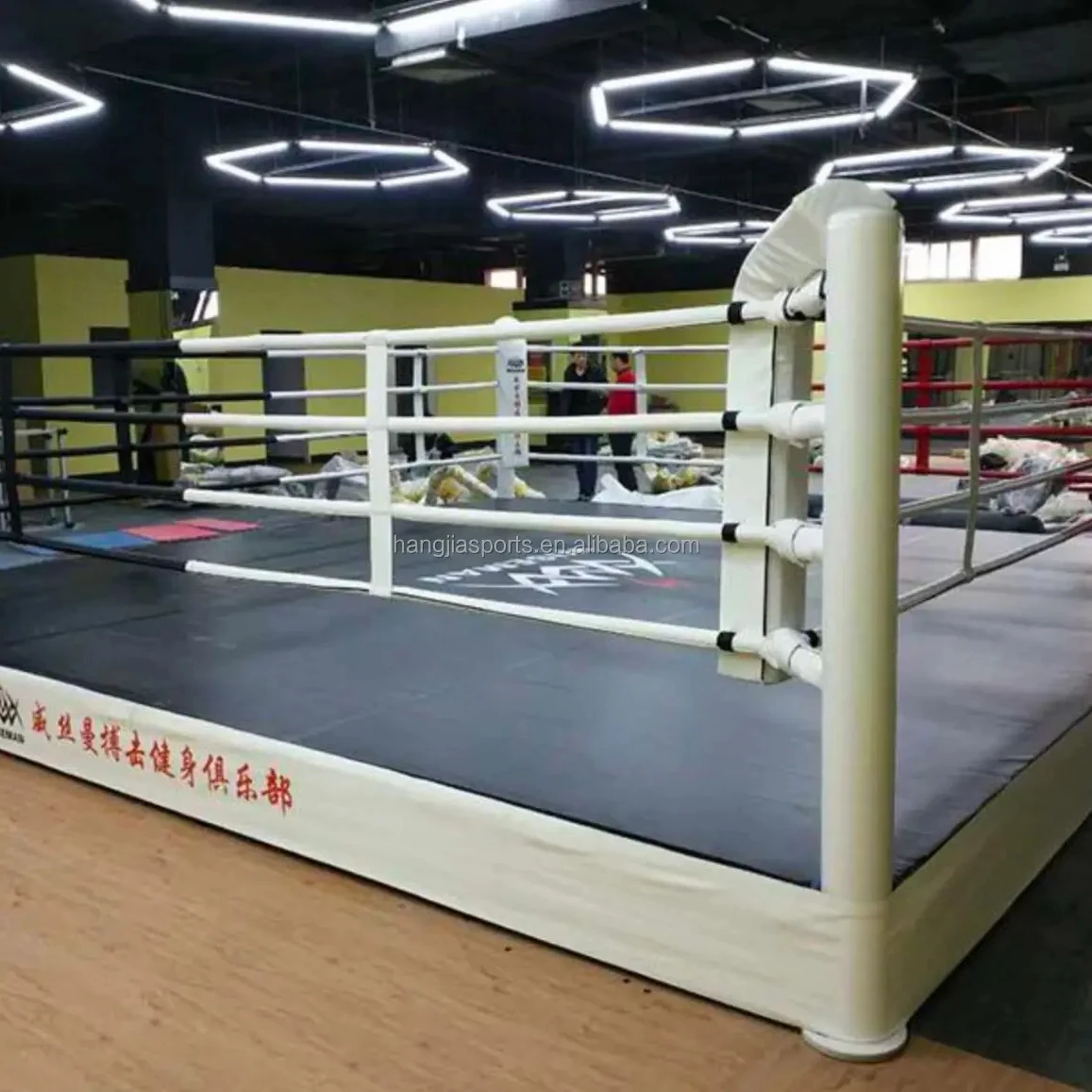 

Custom Logo Portable High Quality Steel Boxing Ring MMA Elevated protection Foam Poly Wood Boxing Ring Wrestling Ring for Sale