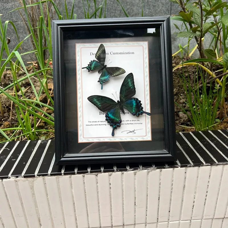 Papilio Maackii Summer Form, Home Decor Ornament, Birthday & Valentine