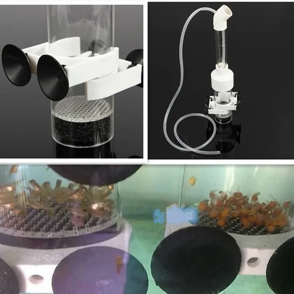 Aquarium Fish Cichlids Tumbler Hatcher Incubator Eggs Instead Mouth-brooding