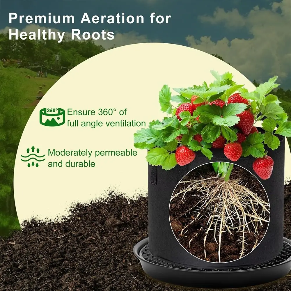 

Practical Breathable Self Watering Plant Tray Mesh Holes Reusable Plant Grow Bags Adjustable Pot Base Balcony