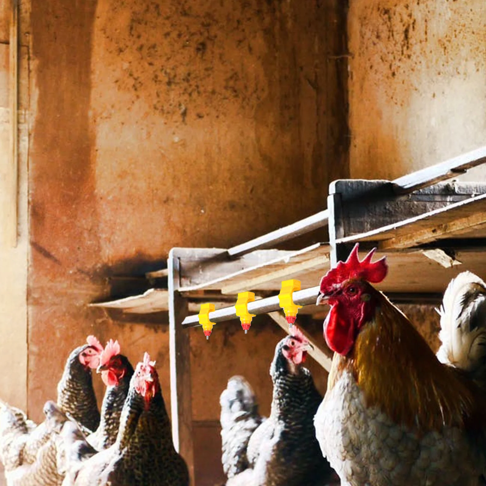 

20Pcs Spring Clip Chicken Water Feeder Automatic Poultry Drinker Durable Practical for Chickens Ducks Geese Poultry Water Feeder