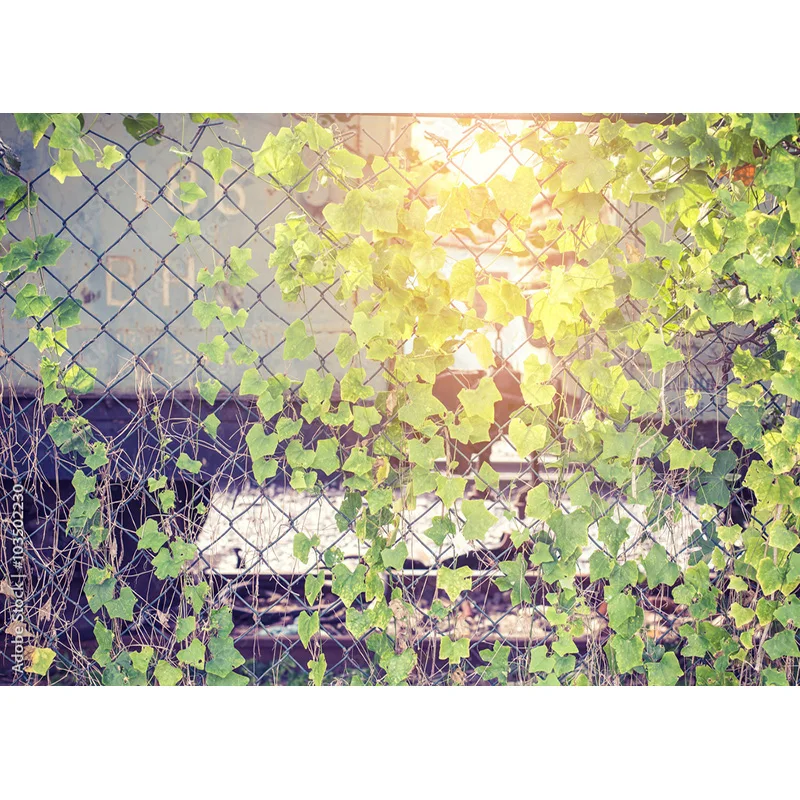 Vinyl Photography Backdrops Prop Flower Wall Wedding Valentine's Day Theme Photo Studio Background Props 211223 HHQQ-02